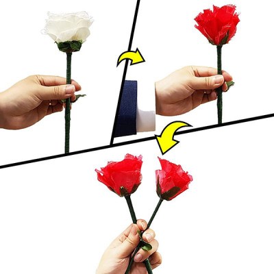 Color Change Rose V2 by JL