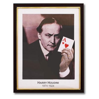 Houdini Prediction Frame