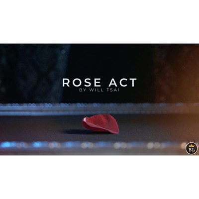 Visual Matrix AKA Rose Act by Will Tsai and SansMinds